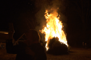 Fire burns tree.